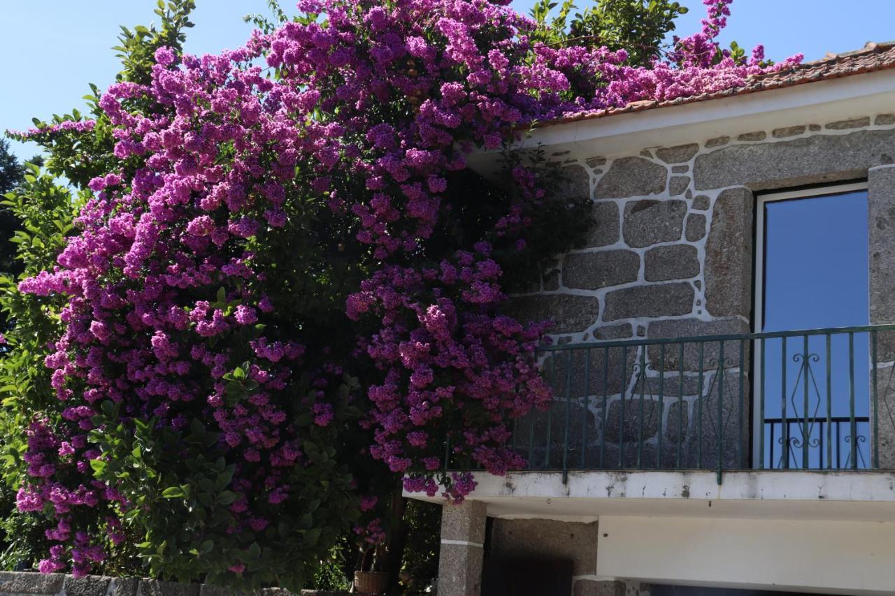 Ich Inveja Country House Pacos de Ferreira Dış mekan fotoğraf